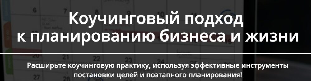 Коучинговый подход к планированию бизнеса и жизни (Лидия Радичи-Шпаковская)