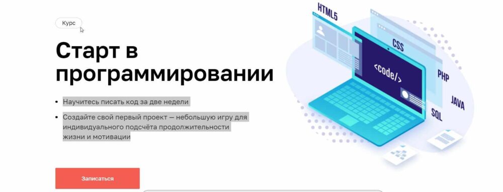 [netology] Старт в программировании (2020) (Николай Лопин)