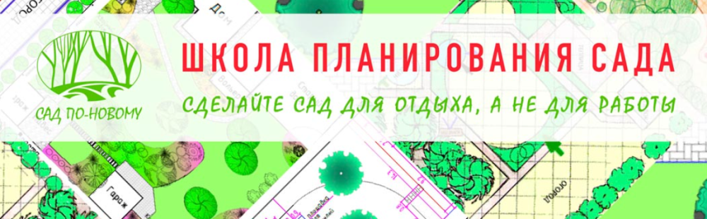 Как подобрать кустарники в композиции, которые украсят ваш сад, 2015 (Наталья Мягкова)