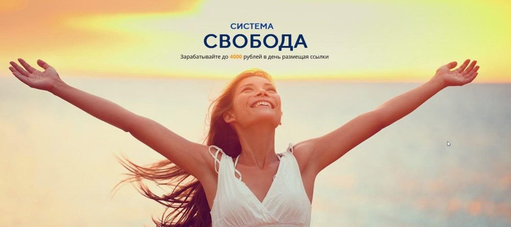 Система Свобода (Сергей Кузнецов)
