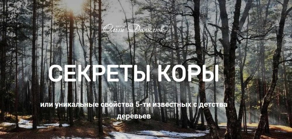 [Школа траволечения доктора Ольги Данилюк] Секреты коры (Ольга Данилюк)