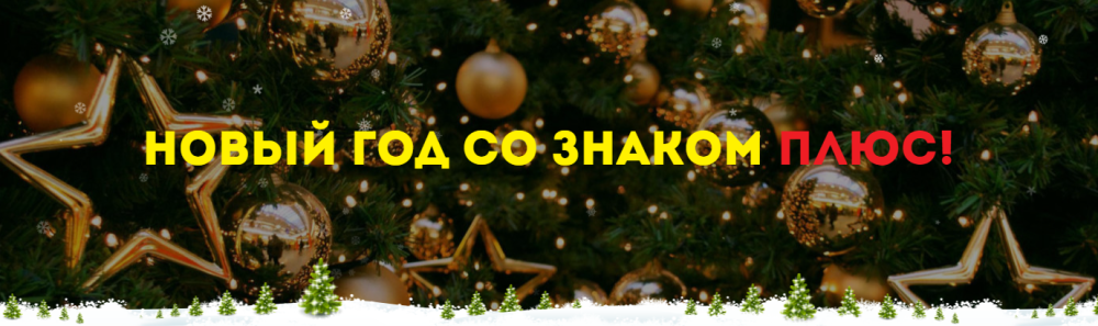 Новый год со знаком плюс! (Нинель Смолина)