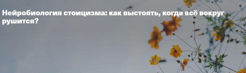 [365done] Нейробиология стоицизма: как выстоять, когда всё вокруг рушится? (Галина Бобрякова)