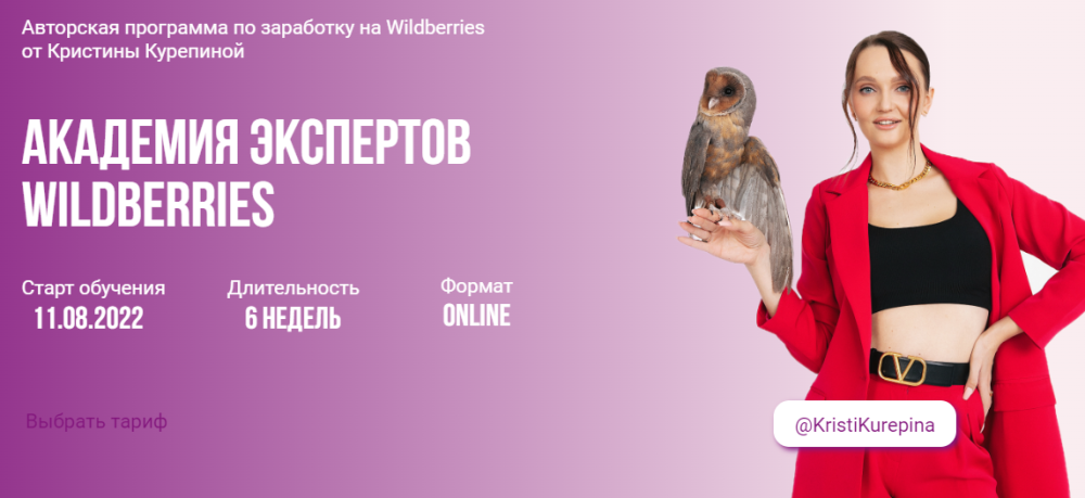 Академия экспертов Wildberries. Тариф Премиум (Кристина Курепина)