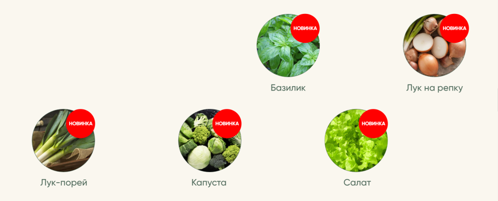 Рассада без досады. Овощная рассада Новые культуры (Анна Акинина)