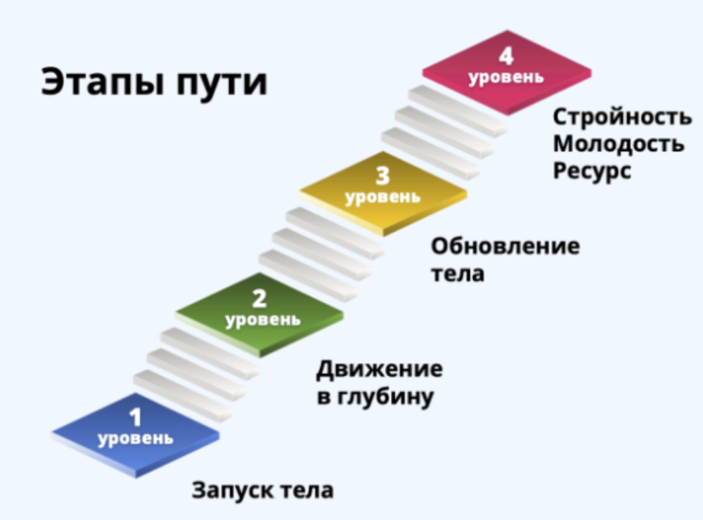 Твой путь к стройности и молодости. 11 месяц (Светлана Рахманова)