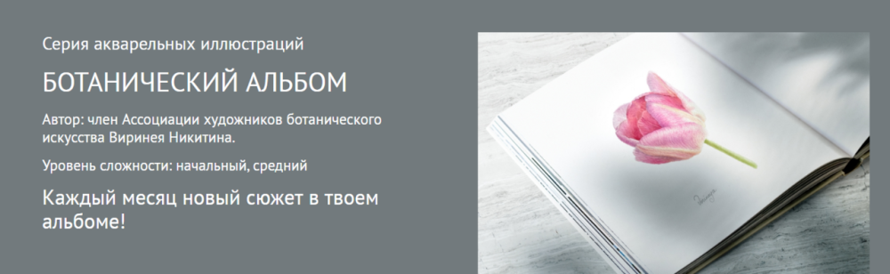 [Watermedia] Ботанический альбом. Розовый тюльпан. Без проверки (Виринея Никитина)