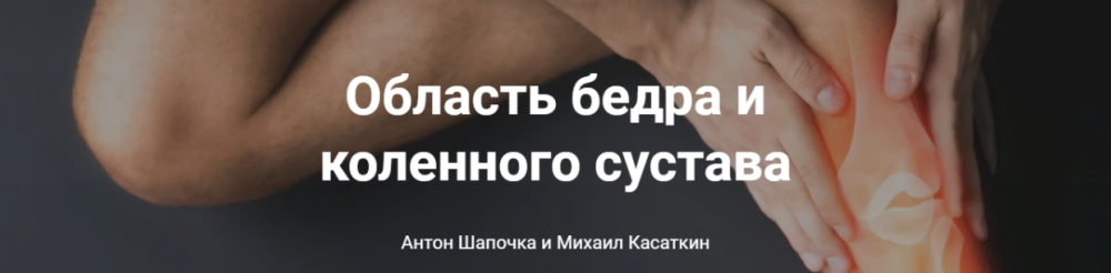 От анатомии к упражнениям. Область бедра и коленного сустава (Михаил Касаткин, Антон Шапочка, Александр Гущин)