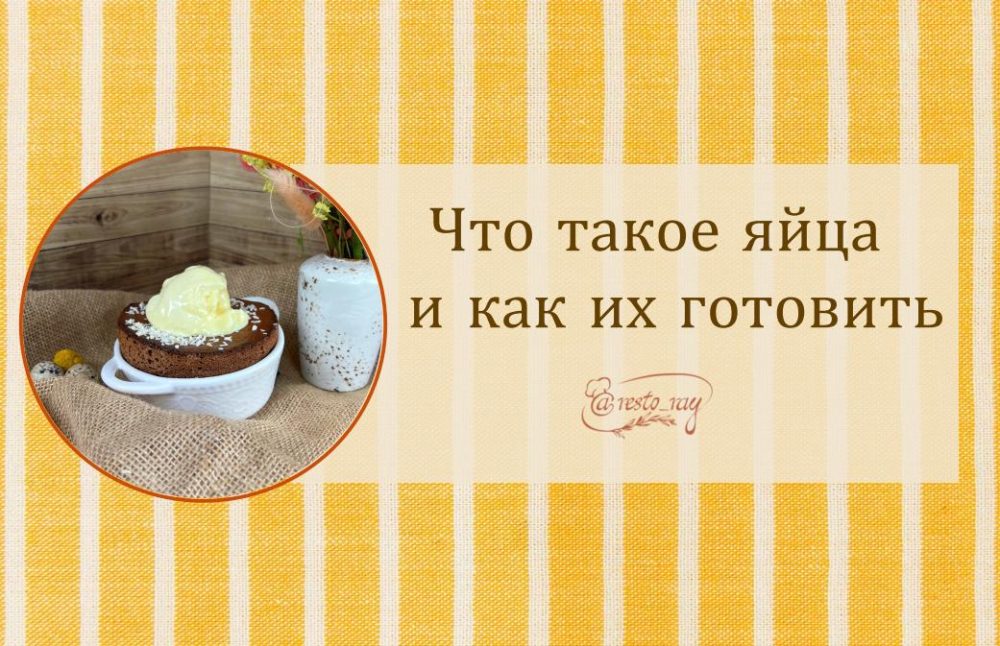 Что такое яйца и как их готовить (Анна Рей)
