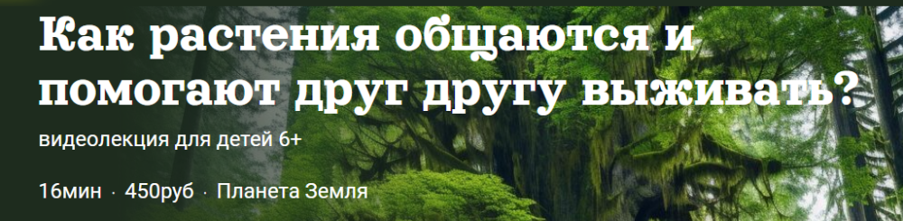 [Детский лекторий] Как растения общаются и помогают друг другу выживать? (Александр Толмачёв)